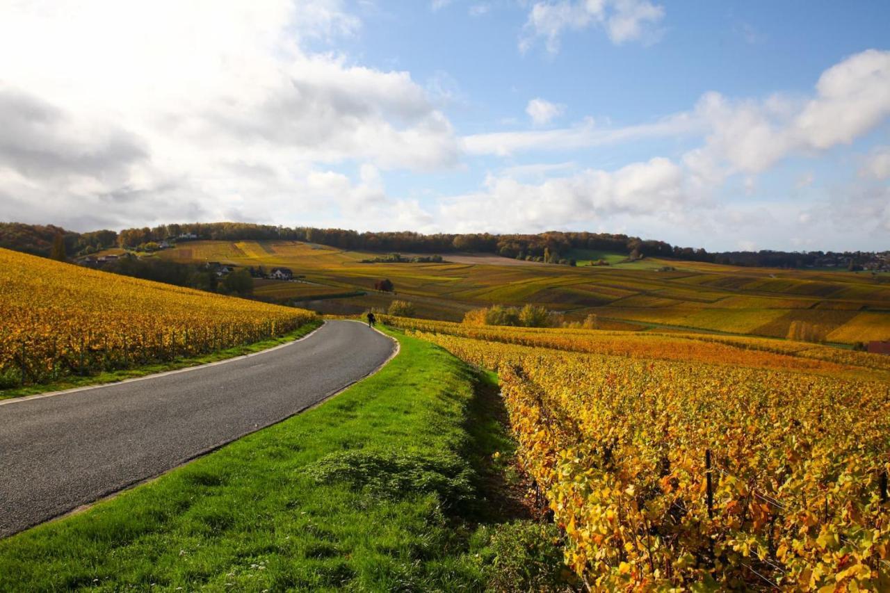 Hostellerie Briqueterie & Spa Champagne Vinay  ภายนอก รูปภาพ Vineyards in the Moselle valley